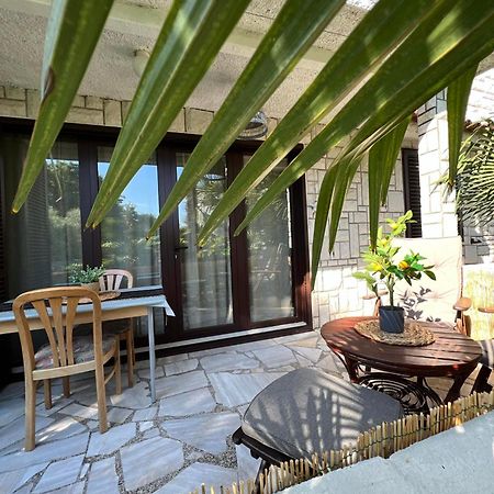 Apartment Villa Angelina, 70M From The Beach, Free Parking Novigrad Istria Eksteriør billede