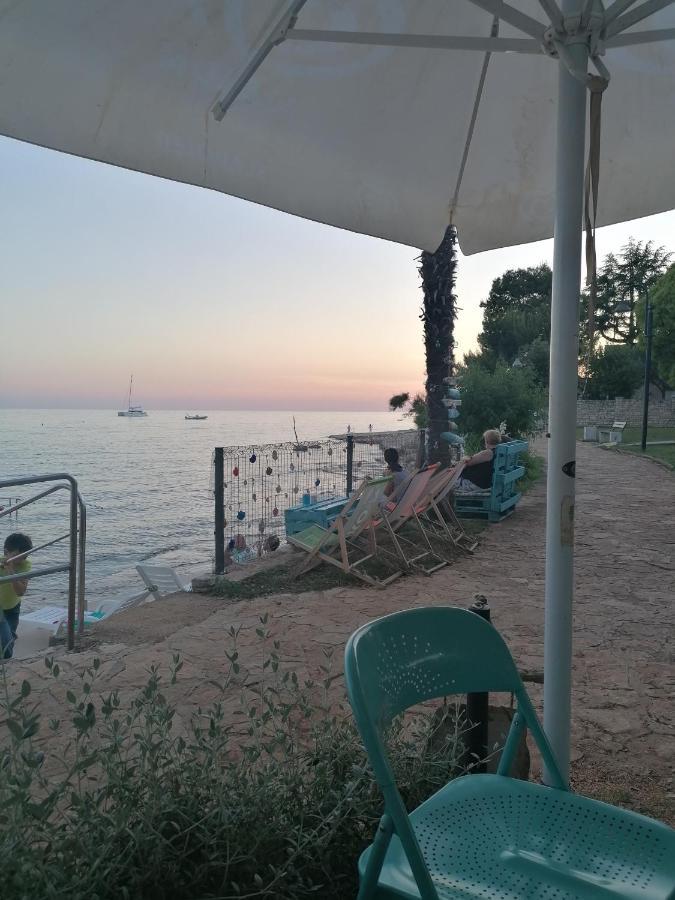 Apartment Villa Angelina, 70M From The Beach, Free Parking Novigrad Istria Eksteriør billede