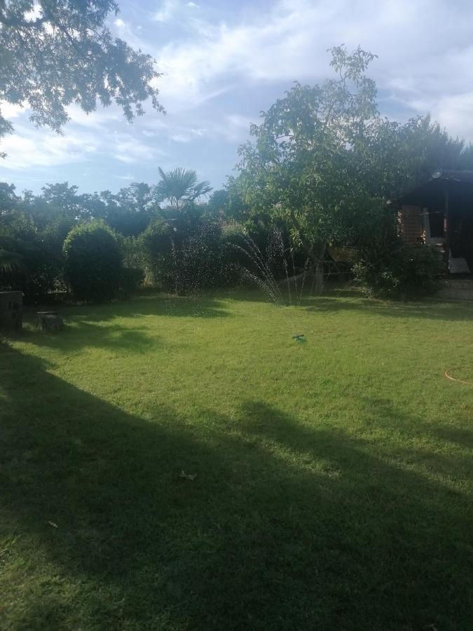 Apartment Villa Angelina, 70M From The Beach, Free Parking Novigrad Istria Eksteriør billede