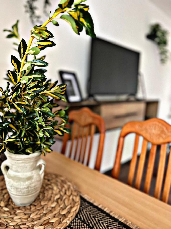 Apartment Villa Angelina, 70M From The Beach, Free Parking Novigrad Istria Eksteriør billede