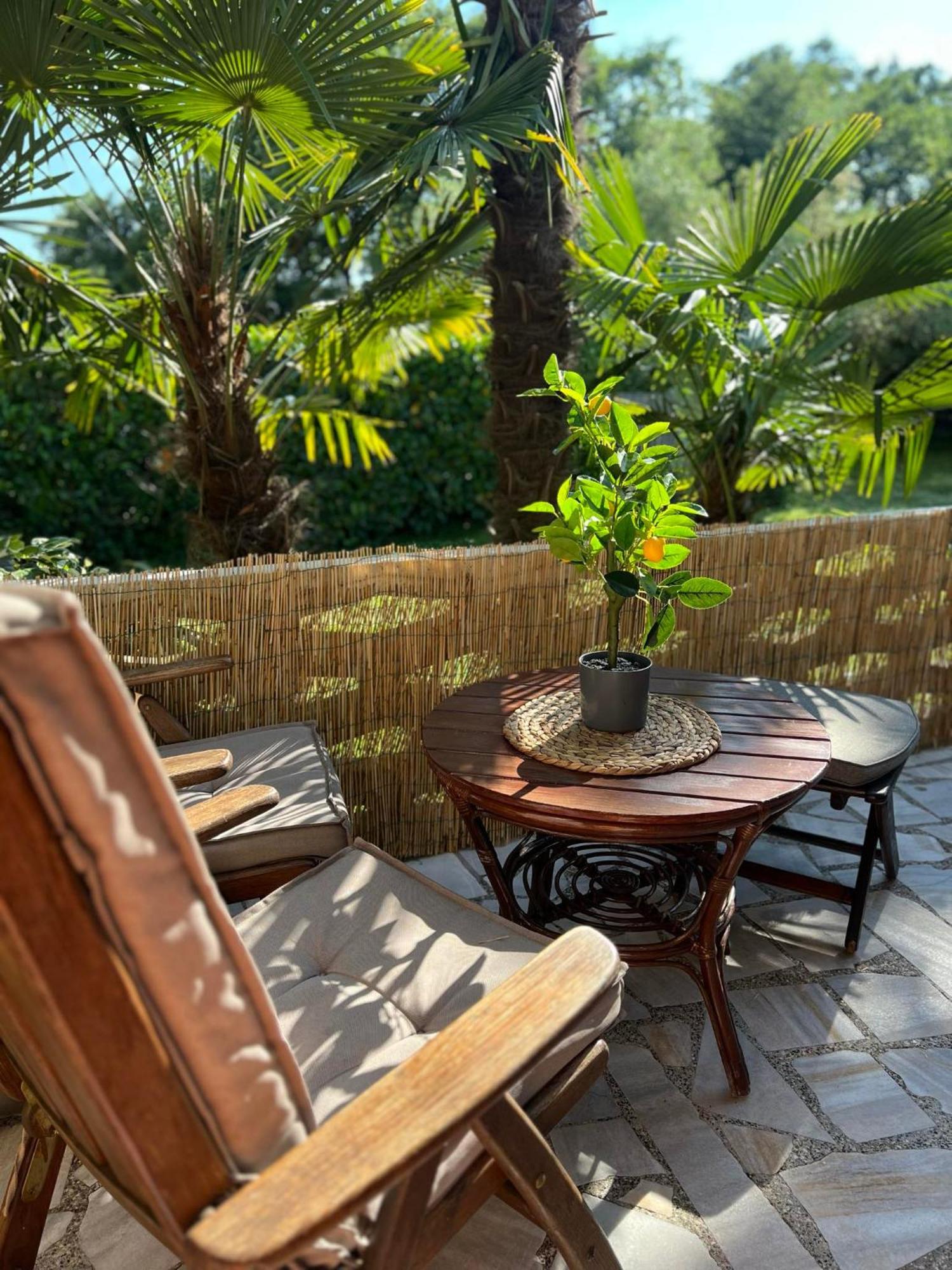 Apartment Villa Angelina, 70M From The Beach, Free Parking Novigrad Istria Eksteriør billede
