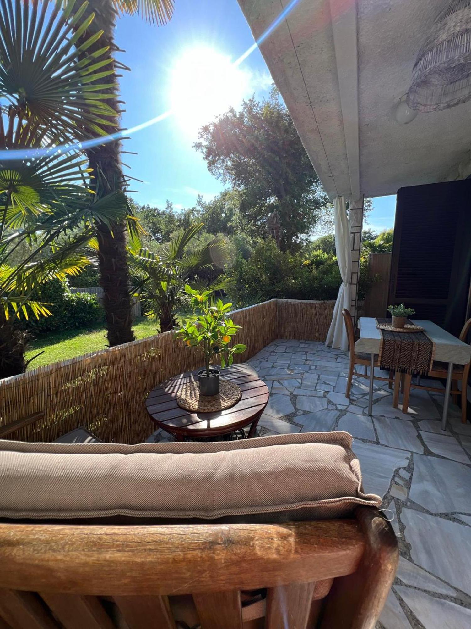 Apartment Villa Angelina, 70M From The Beach, Free Parking Novigrad Istria Eksteriør billede
